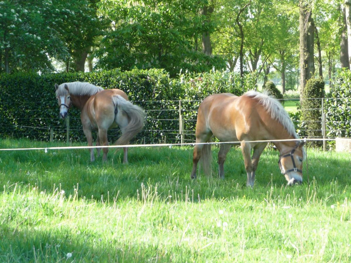 Bed & Breakfast Achterhoeks Halle